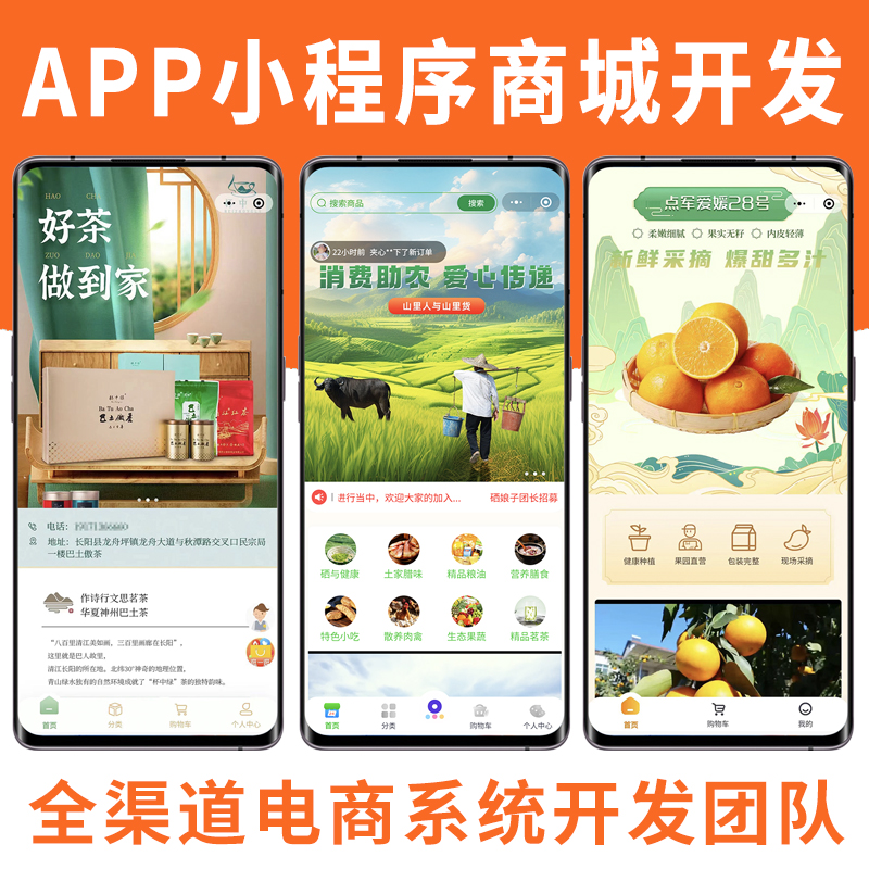 微信小程序商城app微商分销系统模板小程序团队分红链动2加1定制