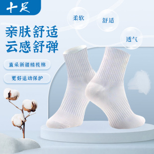 乖如意精梳棉运动男女袜夏季 袜子 抗菌防臭网眼运动薄款
