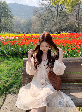 SHAOER【椿野】法式重工亮片绣花V领系带连衣裙S726Q02421