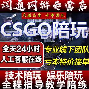 CSGO陪玩完美5E天梯上分CS2起源2定级赛等级胜场官匹