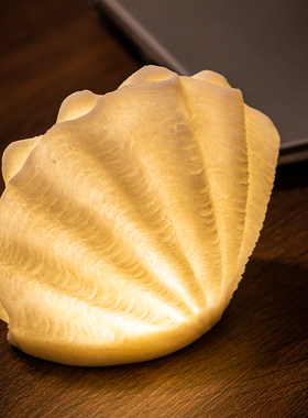 《贝壳》创意床头小夜灯卧室氛围灯酒吧餐厅桌面海洋风女生生日礼