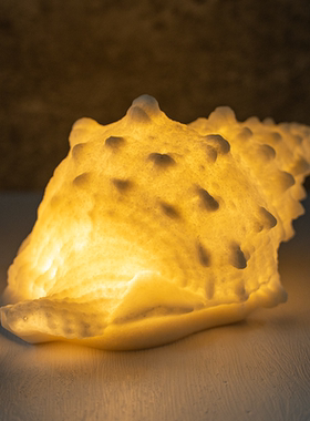 《海螺》创意礼物ins 卧室氛围酒吧小夜灯生日少女心海洋风桌面