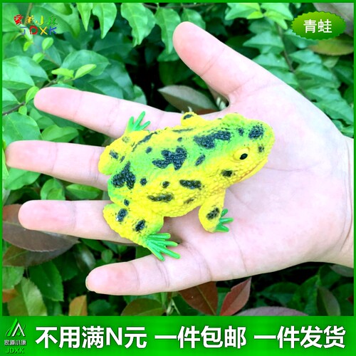 模型青蛙塑胶仿真包邮