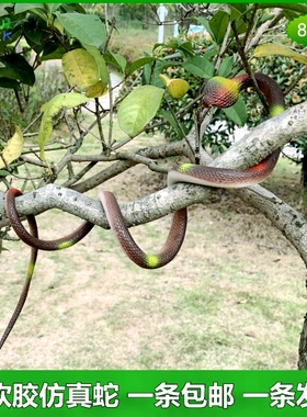 软胶仿真蛇儿童玩具蛇吓人大小假蛇吓鸟驱鸟逗鸟汽车摆件动物模型