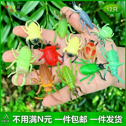 仿真小昆虫甲壳虫12只套装包邮