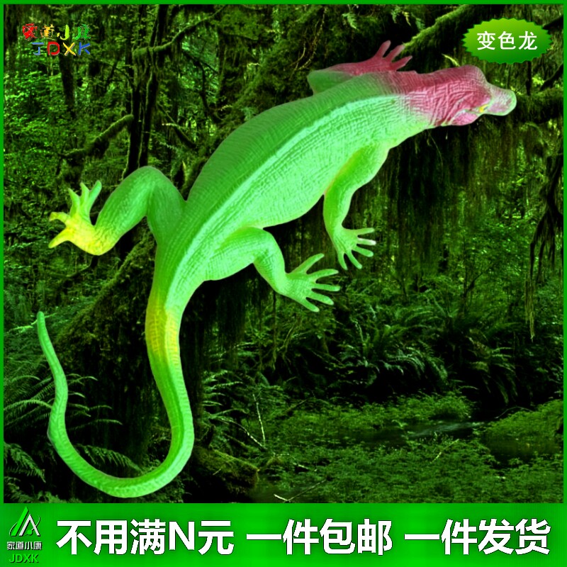 软胶仿真蜥蜴变色龙恐龙套装包邮