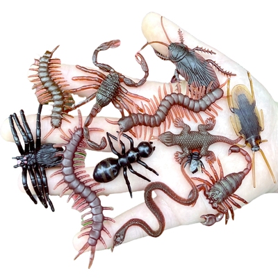 小昆虫塑胶套装玩具包邮