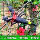 软胶仿真蜘蛛蝎子鳄鱼套装 吓人幼儿园儿童玩具静态假昆虫动物模型