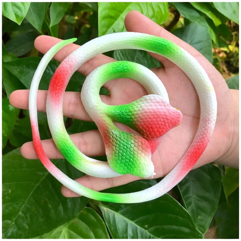 双头软胶仿真蛇眼镜蛇包邮