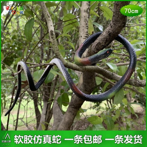 整蛊蝎子幼儿园昆虫动物玩具蛇