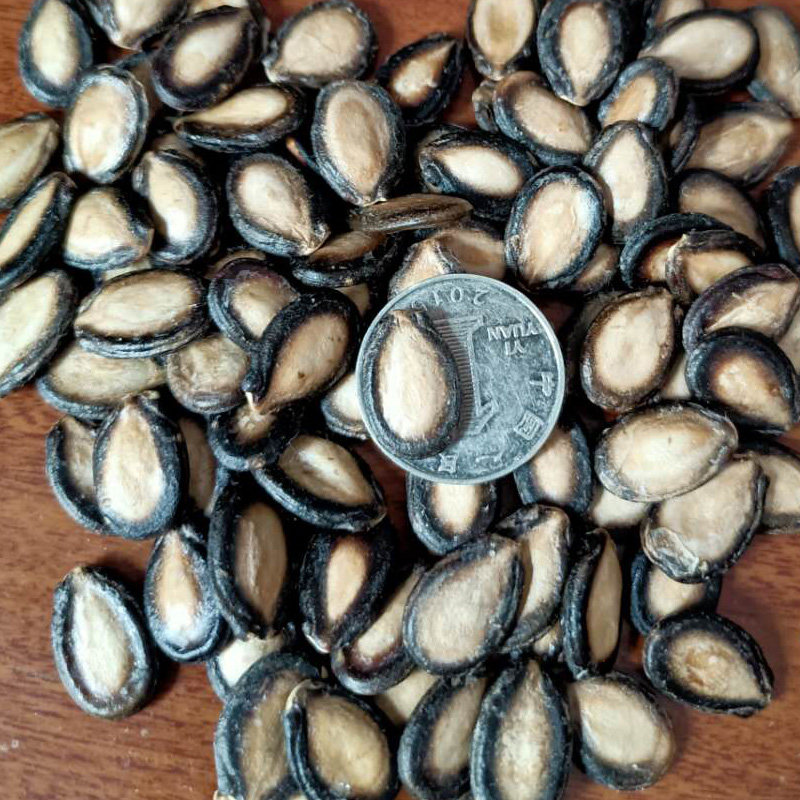 生西瓜子大片 散装新货兰州大板黑瓜子原味打瓜籽特级大颗粒5斤包