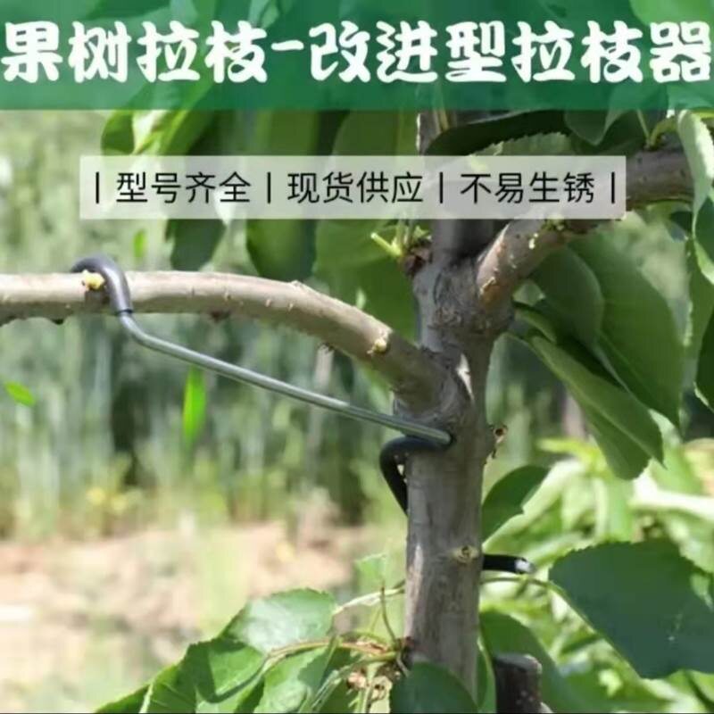 果树拉枝神器定型枝条弯枝压枝器