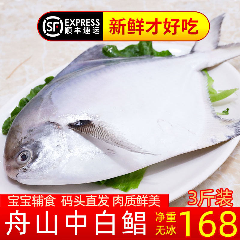 舟山新鲜大白鲳鱼冰鲜昌鱼银鲳扁鱼生鲜平鱼东海水产鲜活冷冻海鲜,水产肉类/新鲜蔬果/熟食,鲳鱼,淘宝优惠券,粉丝福利购,淘宝优惠卷