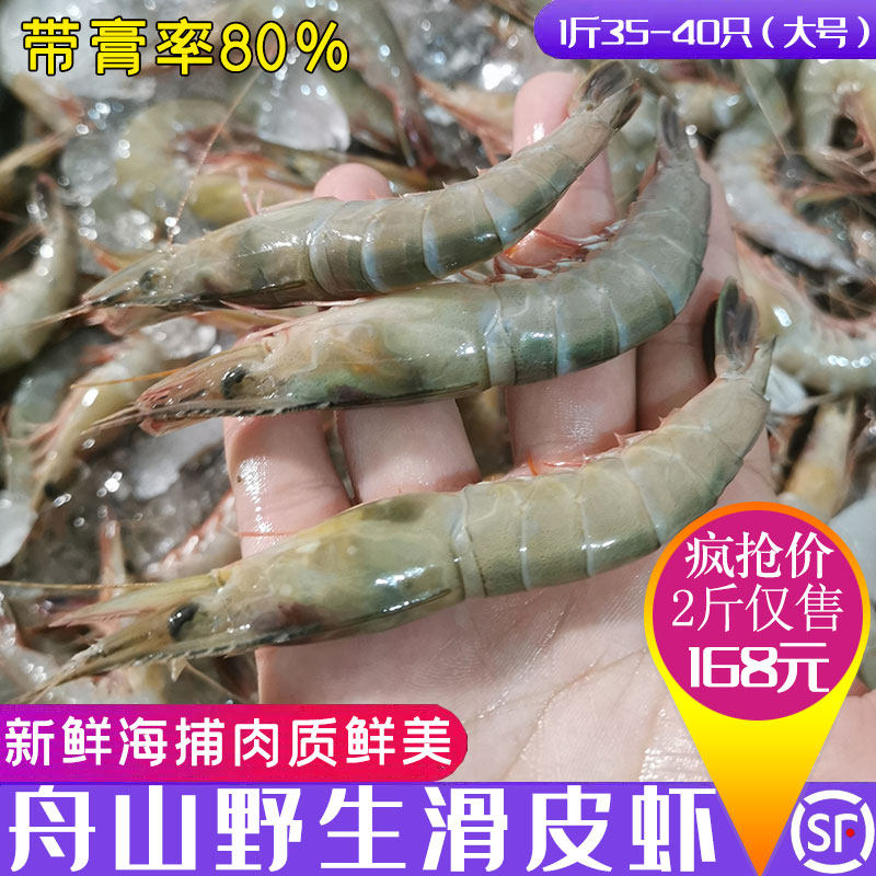 舟山海鲜新鲜野生滑皮虾东海水产冰鲜深海活皮虾对虾青壳虾速冻
