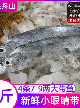 舟山特产海鲜正宗油带