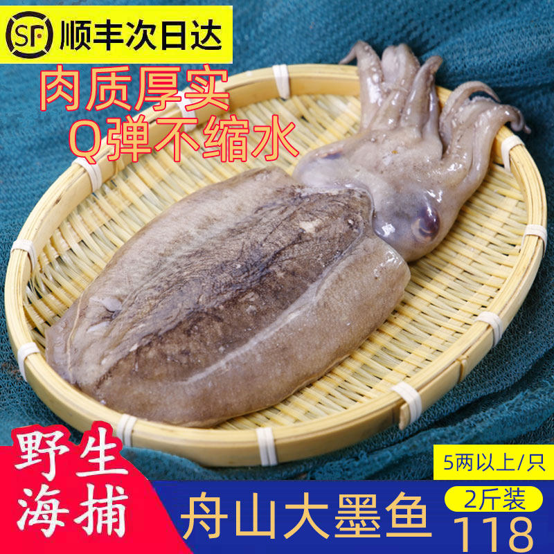 舟山本地大号墨鱼新鲜鲜活东海水产冷冻乌贼墨斗鱼花枝目鱼 2斤装_虎窝淘