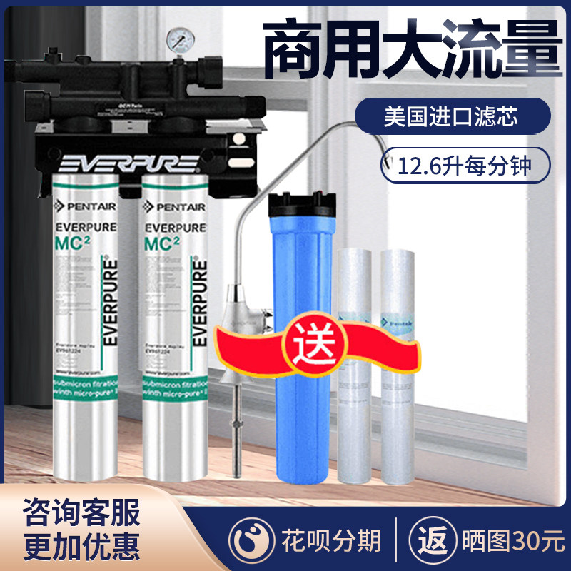 爱惠浦净水器奶茶店直饮机商用大流量过滤器制冰机自来水mc2双联