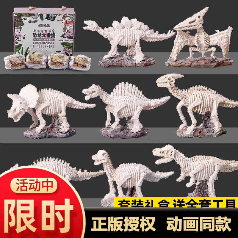 恐龙化石考古挖掘儿童手
