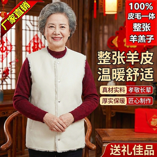 纯羊皮毛马甲男女中老年整张羊皮毛一体棉袄防寒保暖坎肩羊皮背心