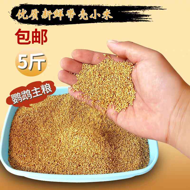 小米带壳斤装包邮鸟粮