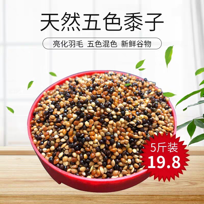 虎皮鹦鹉饲料鸟食玄凤五色混合
