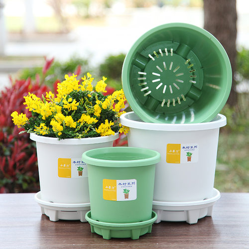 小果汀网红环保新料PP塑脂蝴蝶兰绣球盆栽青山盆三角梅花盆不烂根