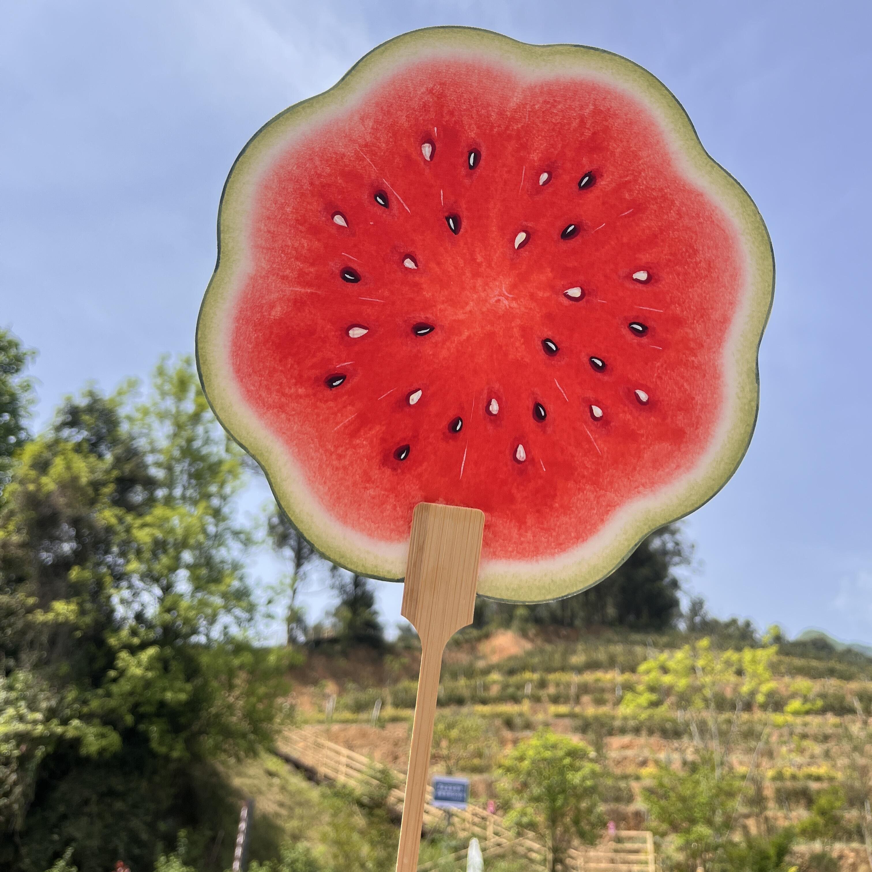 西瓜扇子一眼入夏~