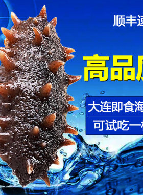 即食海参单个装大连刺参辽参辽宁野生海参即食500g鲜活冷冻水产