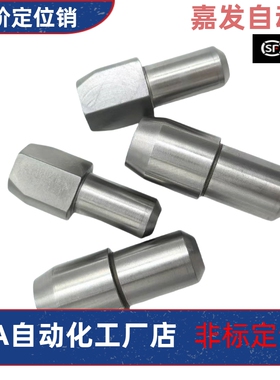 YBR01 02 03-D2 D3 D4 D5 D6 D8 D10-P3P4P5P6P8P10定位销大头销