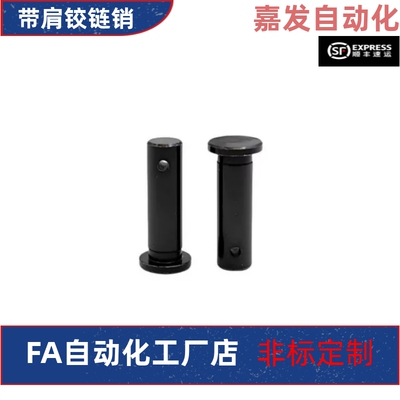 带肩铰链销HCLGN3 4 5 6 8 10 12-10 12 14 15 16 18 20 22 24 25