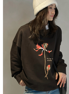 巧珀思｜时尚休闲花园宽松卫衣毛圈肌理感圆领长袖百搭上衣17322