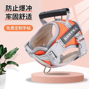狗绳子防爆冲背心式 胸背带拉布拉多狗链子中大型犬金毛狗狗牵引绳