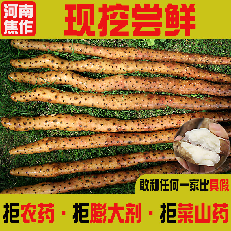 严选河南温县垆土铁棍山药新鲜5斤焦作特产铁杆铁桂长怀山药淮药