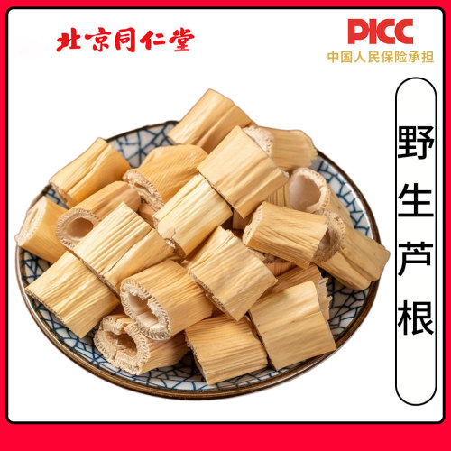 同仁堂芦根中药材500g芦苇根新货野生新鲜无硫芦根藕节白茅根煮水
