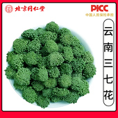 同仁堂野生云南三七花中药材500克干花田七干花四年材野生泡茶水