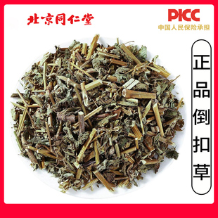 同仁堂品质倒扣草中药材500g野生倒扣草粗毛牛膝牛舌大黄土牛膝