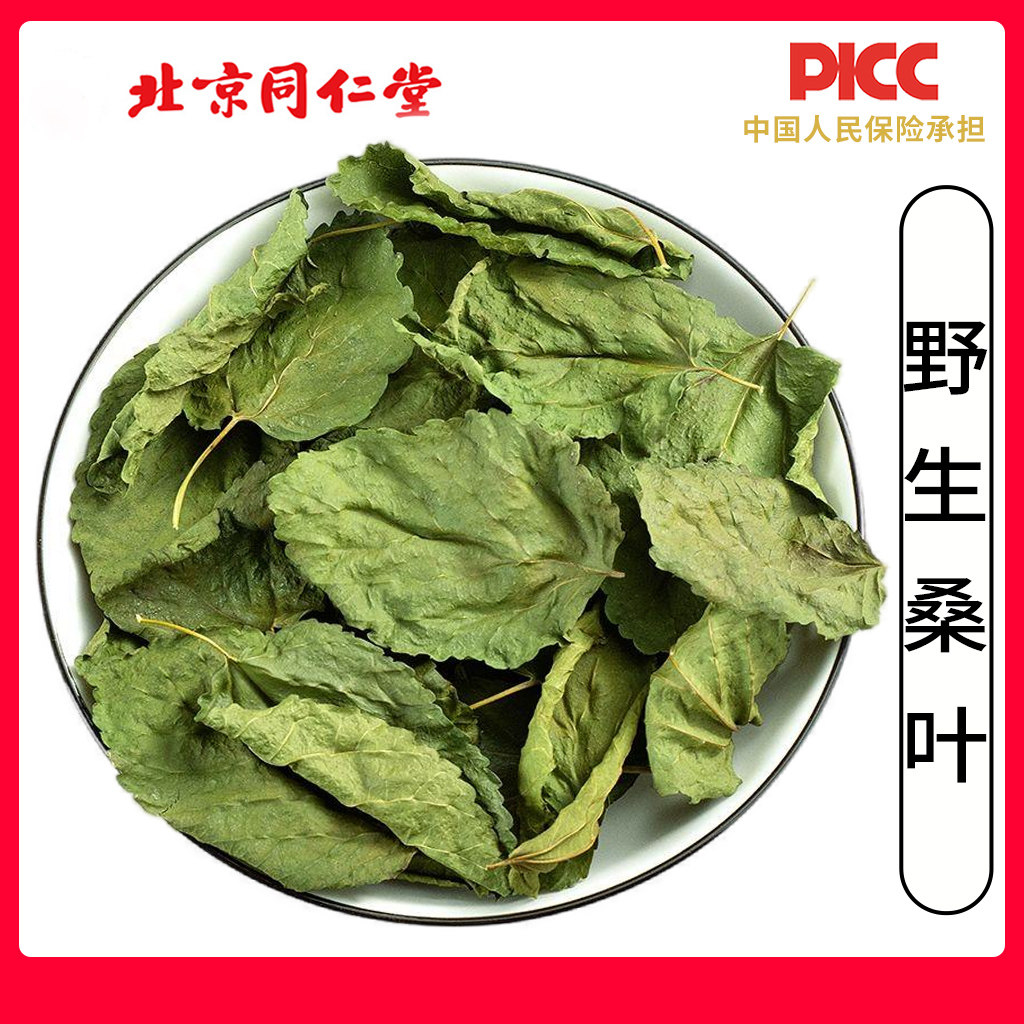 同仁堂野生桑叶中药材500g无硫新鲜桑树叶霜桑叶秦岭老树桑叶泡茶