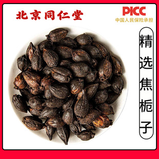 同仁堂天然焦栀子中药材500g无硫文火炒焦栀子焦山栀子焦黄栀子