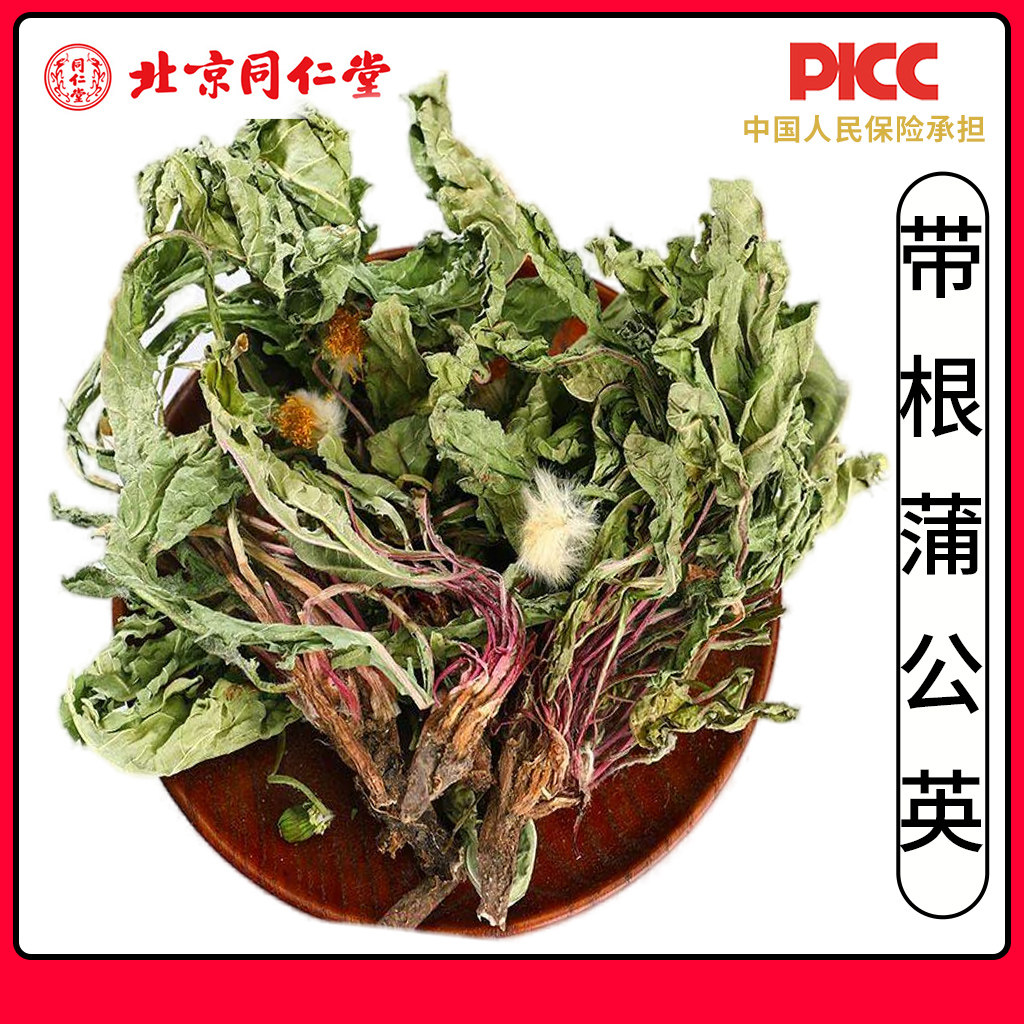 同仁堂野生带根蒲公英中药材500g整根蒲公英优选通乳腺女性婆婆丁