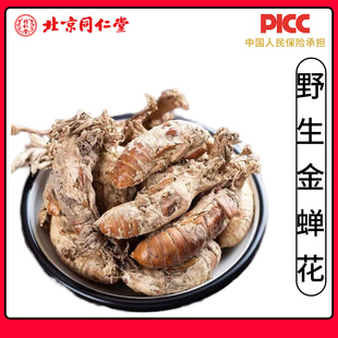 同仁堂野生金蝉花中药材500g新货精选大虫草知了花知了蝉花孢子粉