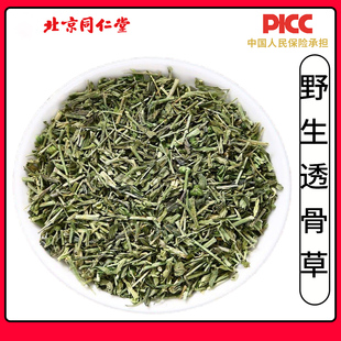 同仁堂正品透骨草中药材500g野生珍珠透骨草新货无硫泡水泡脚泡澡