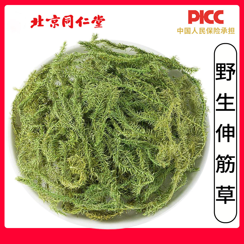 同仁堂野生伸筋草中药材500g无硫生筋草泡脚小伸筋草远志益智仁