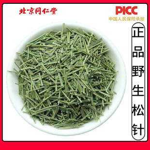 同仁堂精选老松针500g中药材长白山马尾松针茶新鲜干松叶针松树毛