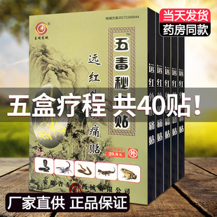 5盒装正品东明药械五毒秘方贴远红外镇痛贴颈肩腰腿膝盖关节贴