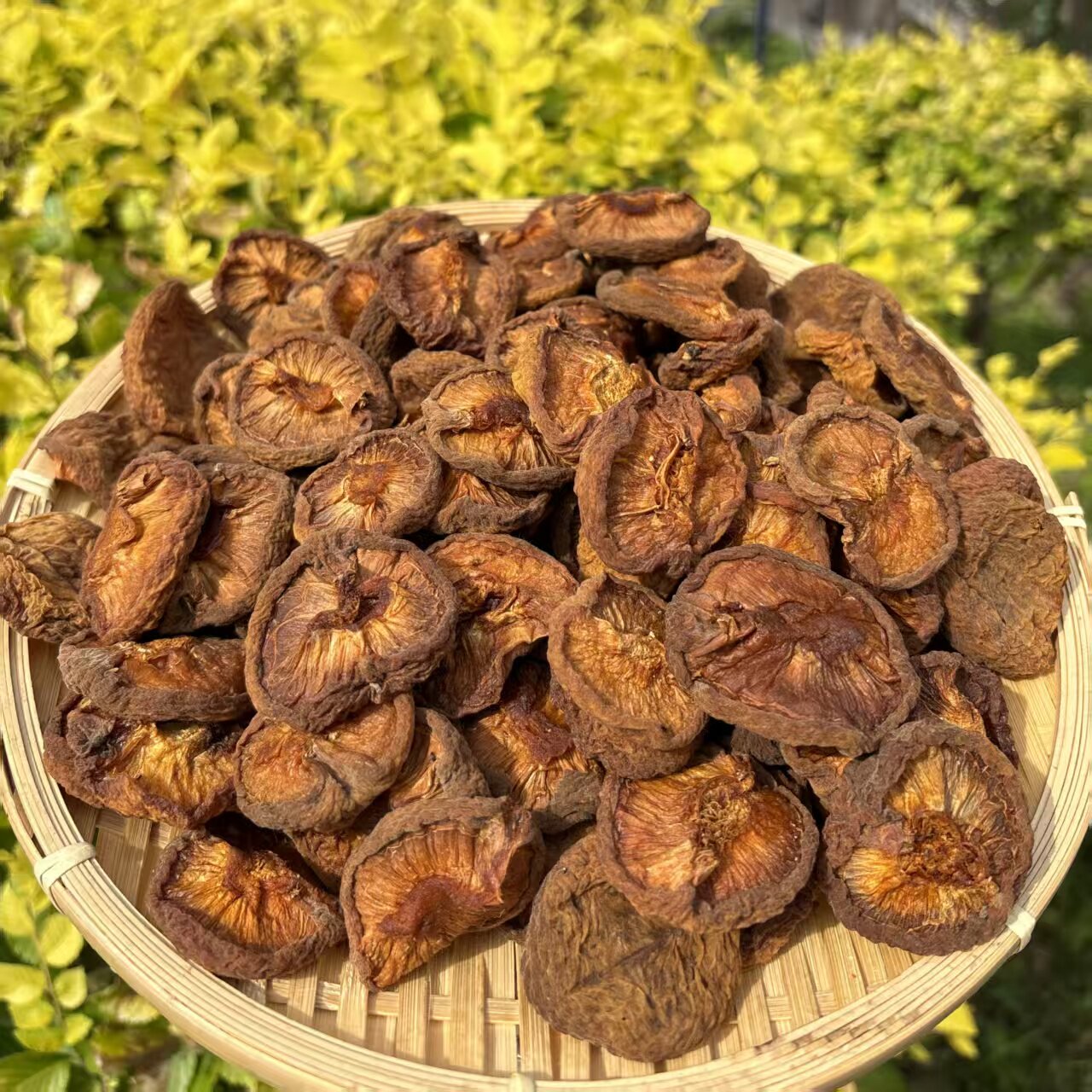 雁贝阳高杏干风干杏无蔗糖杏肉酸甜原味无添加天然晒杏干无核杏肉