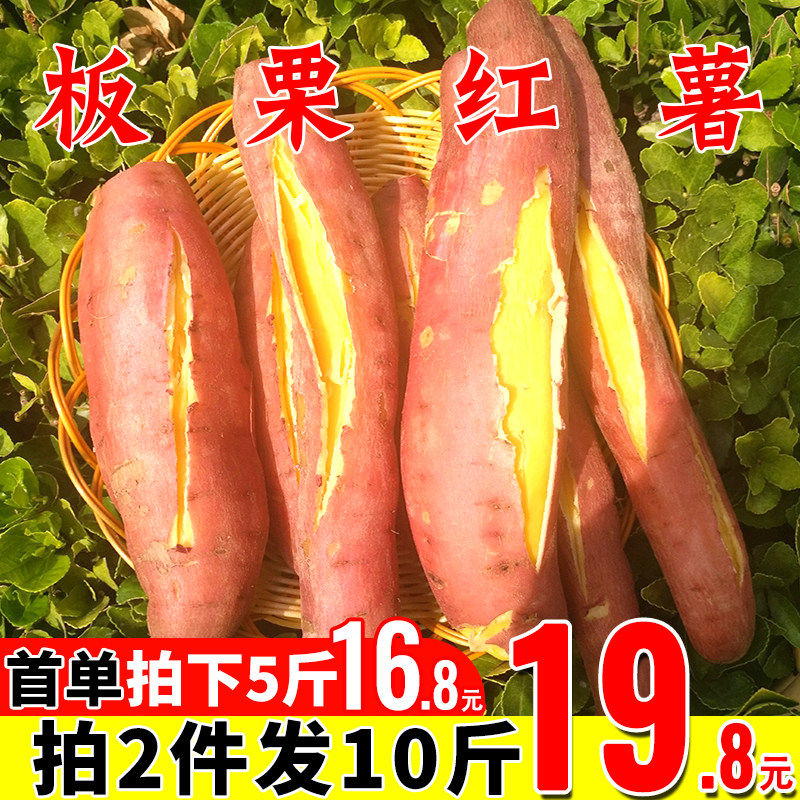 沙地板栗红薯5斤 新鲜糖心蜜薯地瓜山芋番薯整箱包邮