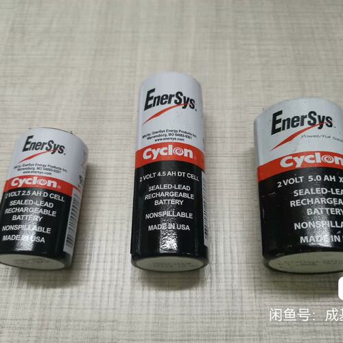 可维修三种型号EnerSys 西科龙Cyclon 2V2.议价