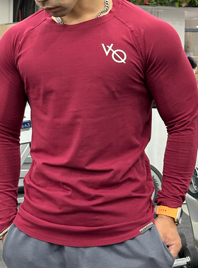 VANQUISH ESS系列VQ男子运动长袖舒适透气健身训练圆领T恤纯色