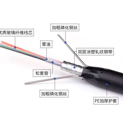 室外4芯8芯12芯光缆GYTA中心管轻铠装户外光钎线GYXTW单模光纤1m 五金/工具 光缆 原图主图