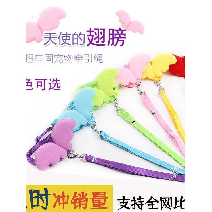 柯尔鸭牵引绳小鸭子遛鸭子绳小鸡溜鹅遛鸡绳专用外出养小鸭子用品